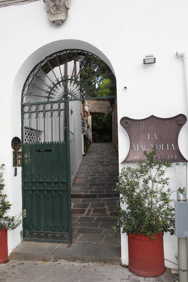 La Magnolia - Centre Sorrent